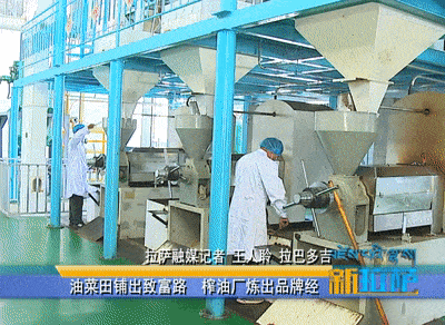 西藏企鵝糧油機(jī)械設(shè)備案例之墨竹工卡縣小油菜榨油廠項(xiàng)目(圖2) 西藏企鵝糧油機(jī)械設(shè)備案例之墨竹工卡縣小油菜榨油廠項(xiàng)目(圖2)