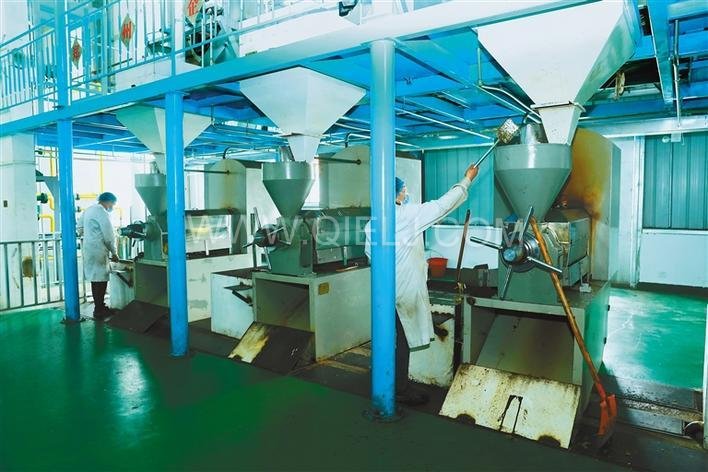 西藏企鵝糧油機(jī)械設(shè)備案例之墨竹工卡縣小油菜榨油廠項(xiàng)目(圖8) 西藏企鵝糧油機(jī)械設(shè)備案例之墨竹工卡縣小油菜榨油廠項(xiàng)目(圖8)