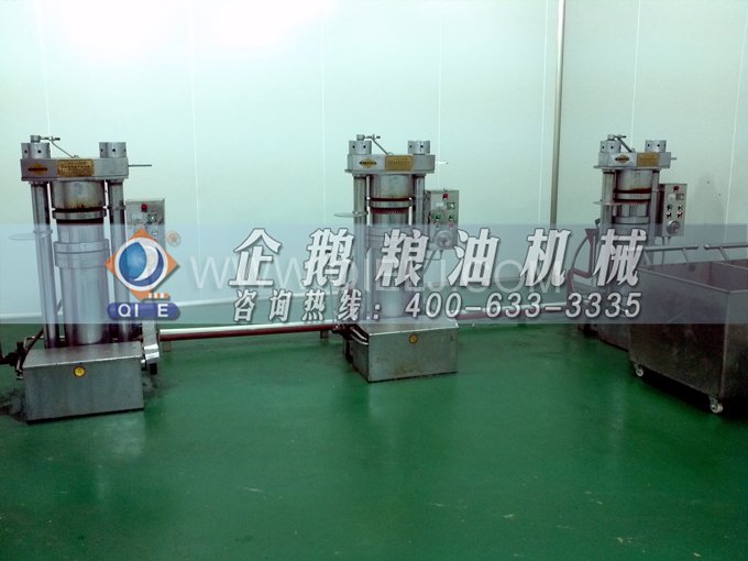芝麻油壓榨處理設備，企鵝牌液壓榨油機勇于創新生產效率高(圖4)